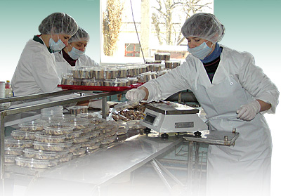 Fish Industrial Technologies Ltd